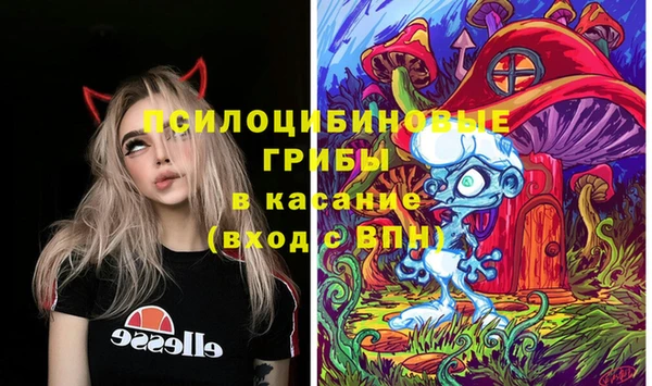 дурь Нефтекумск